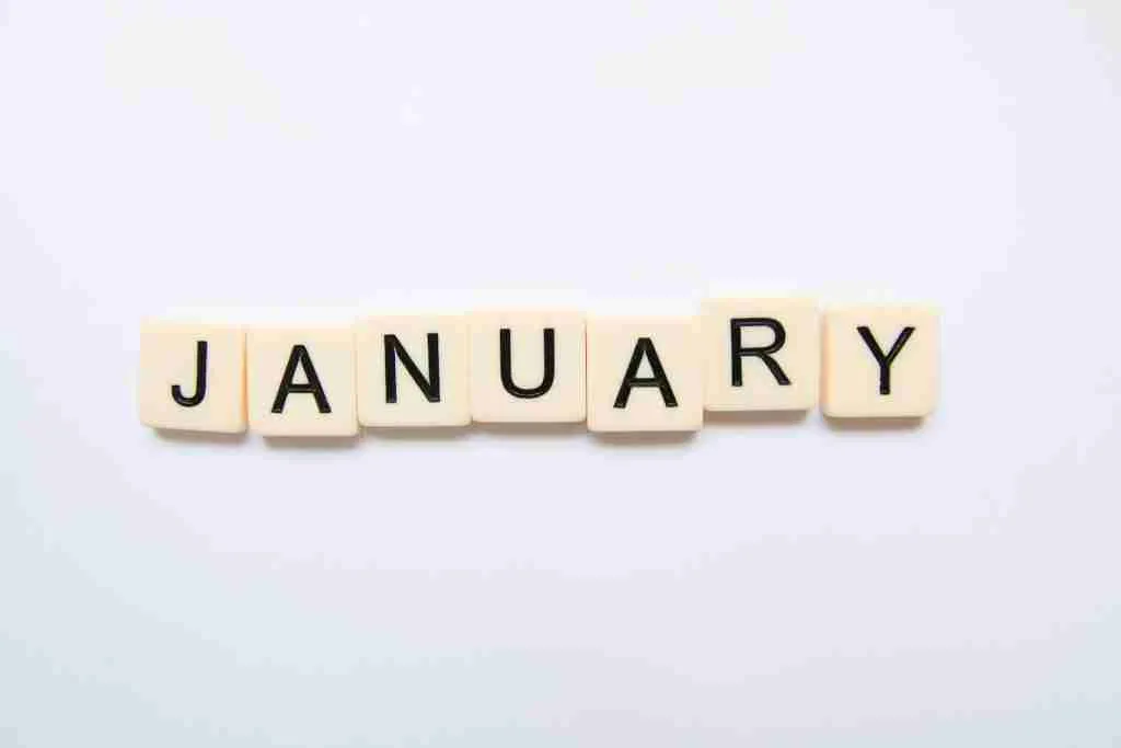 January scrabble words