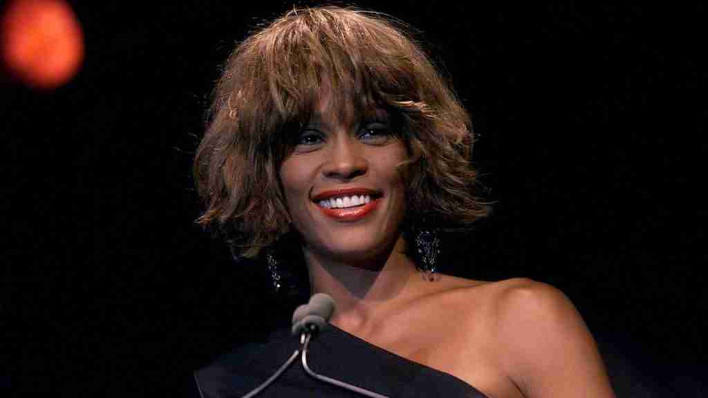 23 Mind-Blowing Fun Facts About Whitney Houston 1 Fun facts about Whitney Houston: Her radiant smile was a signature part of her stage presence, lighting up audiences not just with her voice but with her infectious joy.