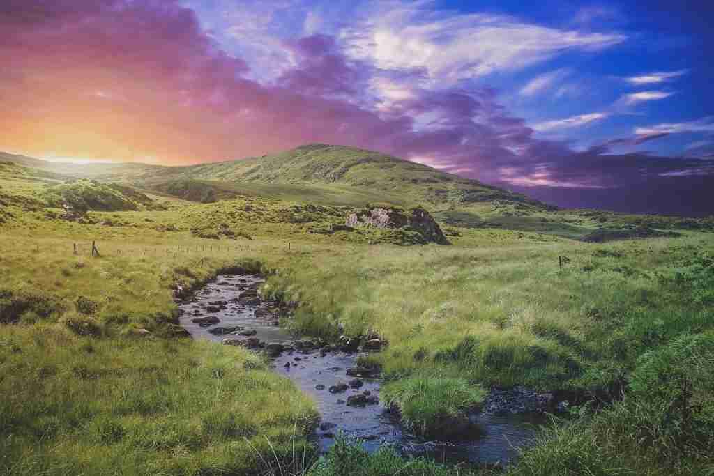 24 Fun Facts About The Color Green That Will Make You Green 1 green