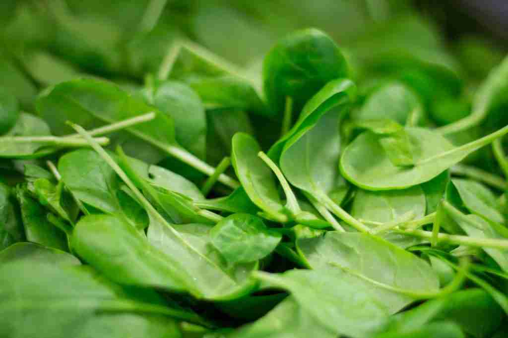 25 Fun Facts About Spinach: A Nutritious and Delightful Superfood 2 spinach, plant, nourishment