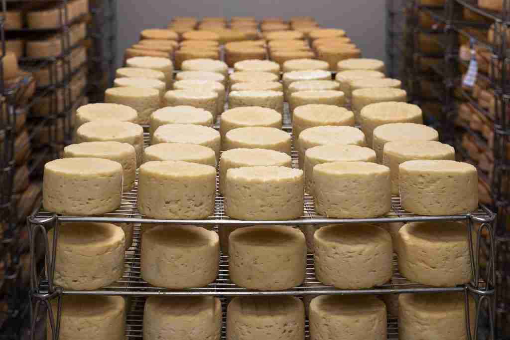 25 Fun Facts About Cheese That Will Make You Say Cheese! 3 cheese, refining, milk