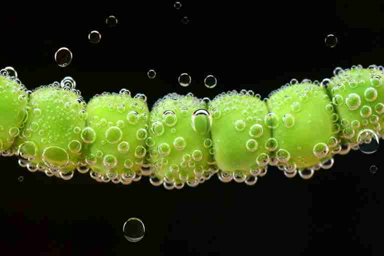Water Bubbles Photography