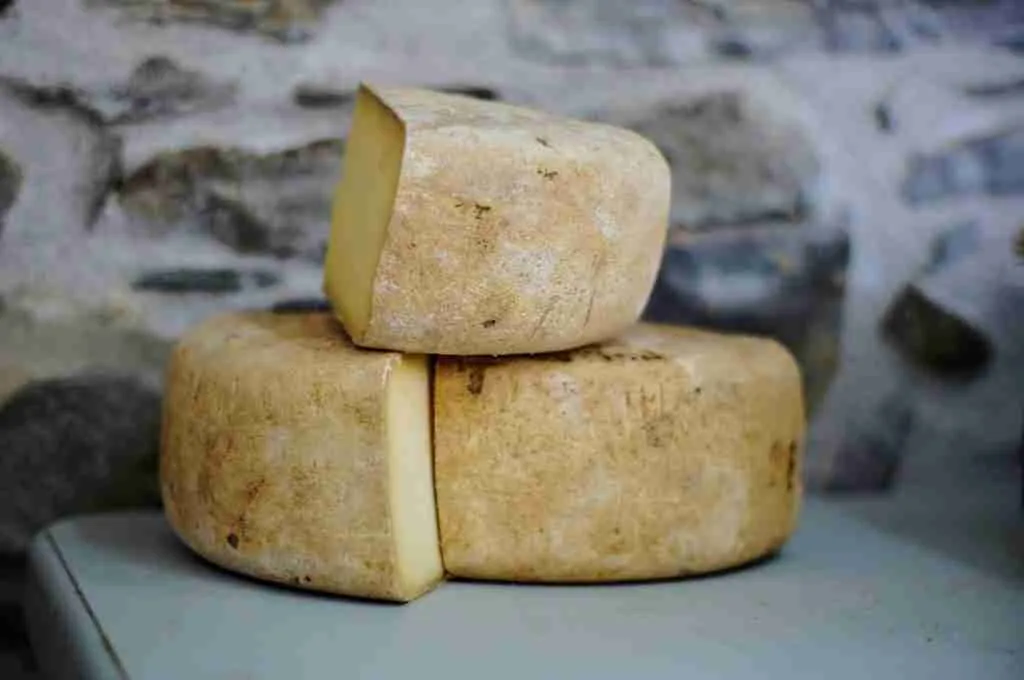 25 Fun Facts About Cheese That Will Make You Say Cheese! 2 cheese