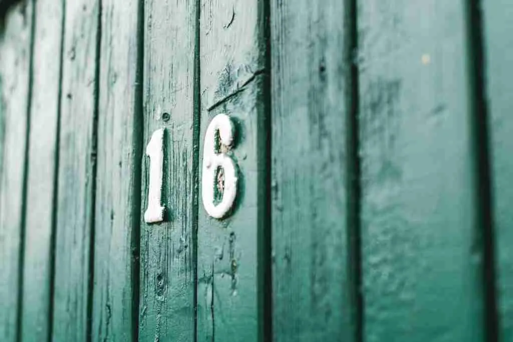 Photo of Number 16 on Green Wooden Wall