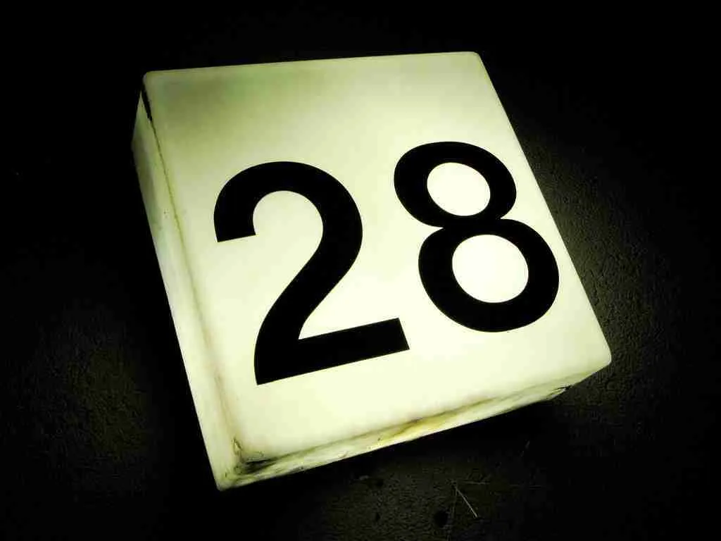 number 28