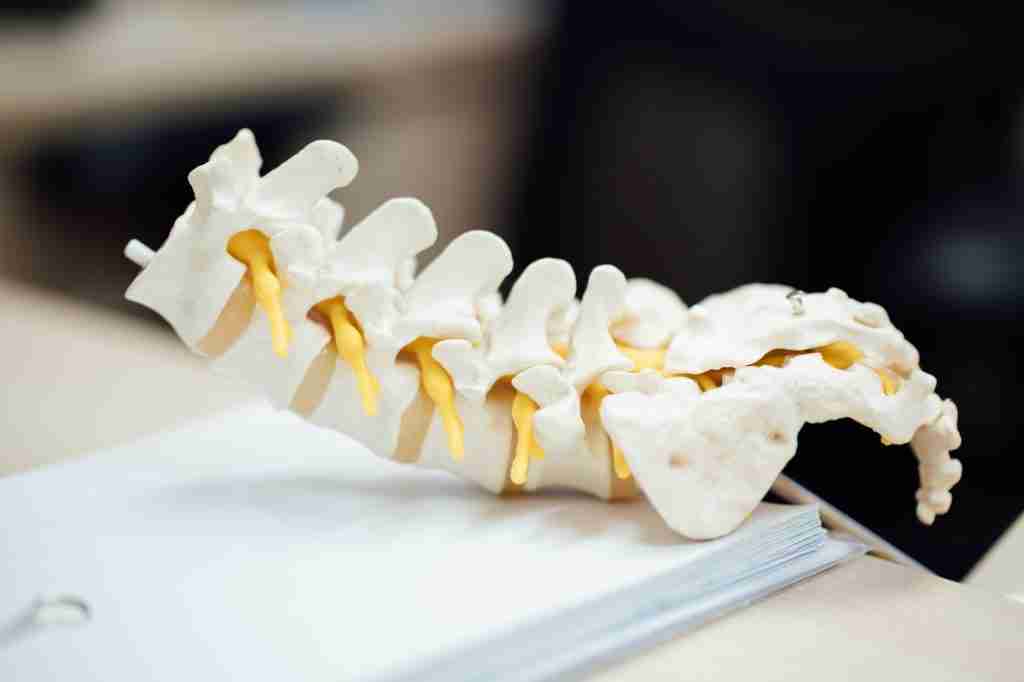 23 Fun Facts About Number 24: It’s Not Just a Simple Digit 2 white spine on white paper