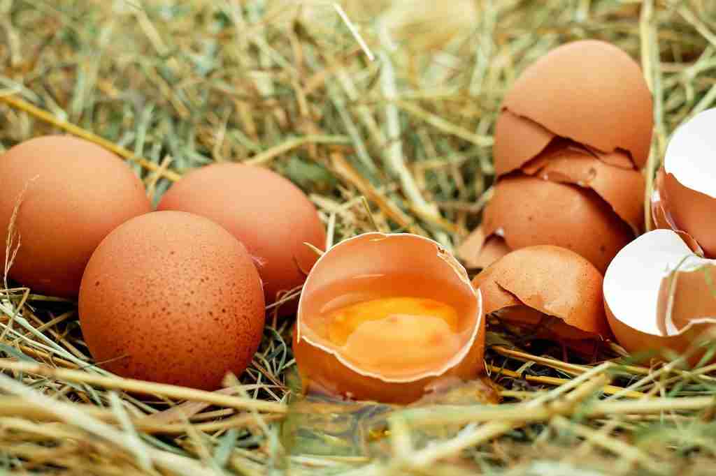26 Fun Facts About Protein That Will Make You Think Twice 3 eggs are great source of protein. just another fact about protein.