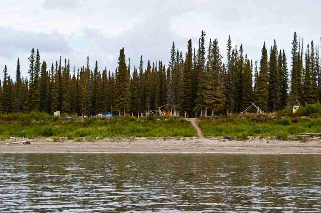 25 Fun Facts About Canada | Snow-Capped Surprises 1 green trees beside body of water : fun facts about Canada
