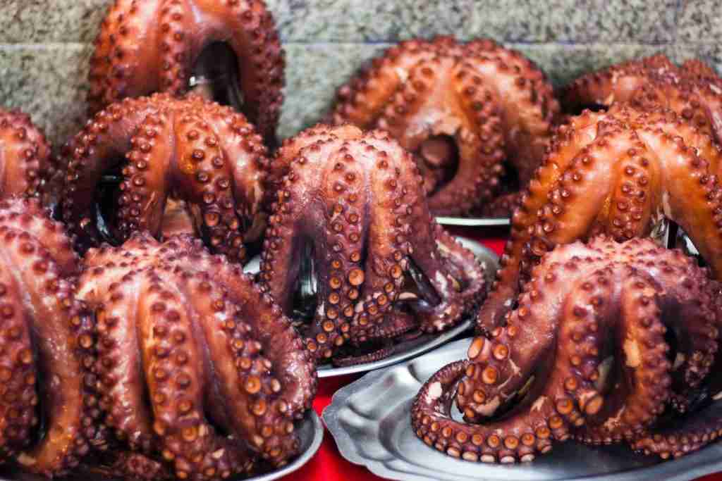 26 Fun Facts About Octopus | Jump into Marine Marvels 2 grilled octopus dishes