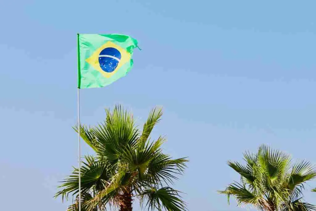 Brazil flag beside green palm trees
