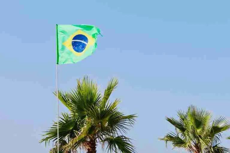 25 Fun Facts About Brazil: Surprises You Never Expected 7 Brazil flag beside green palm trees