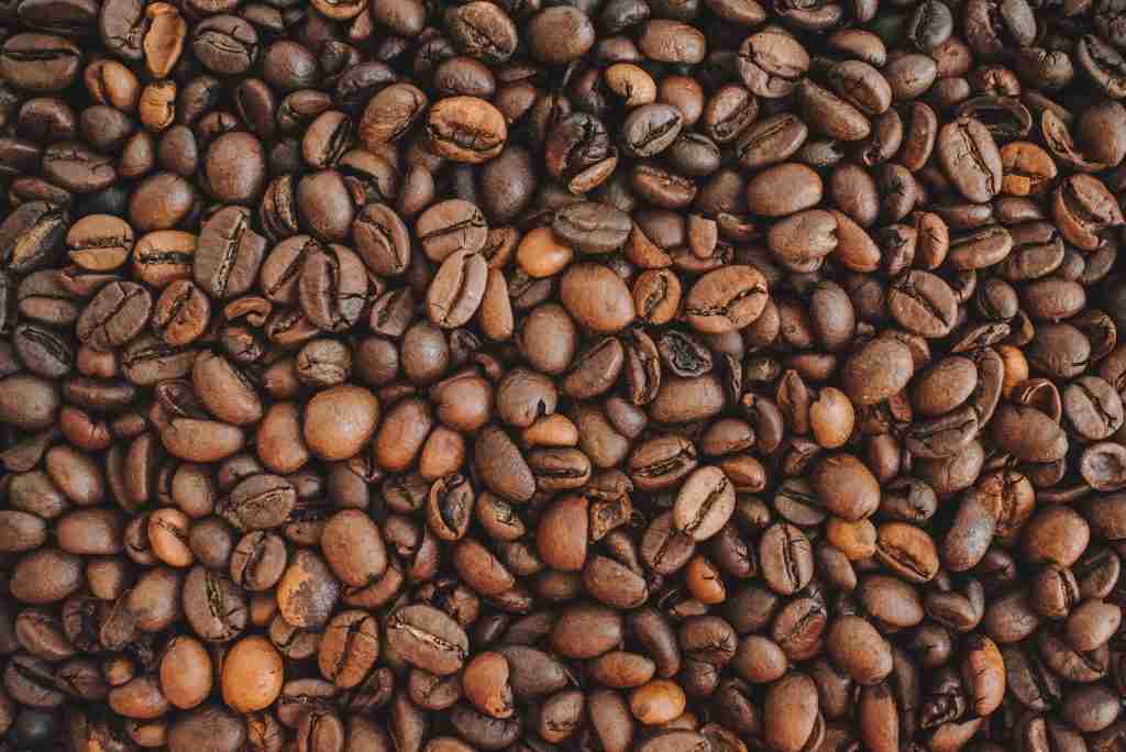 25 Fun Facts About Africa | The Continent's Untold Stories 4 brown coffee beans on brown wooden table