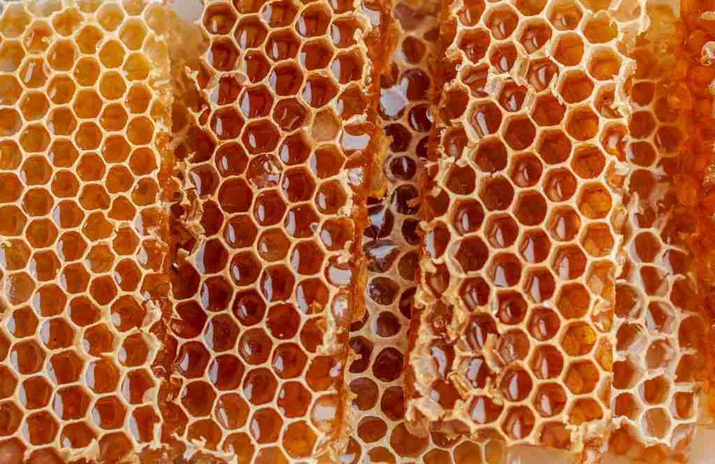 70 Creepy Facts That Will Keep You Up at Night 13 a close up of a bunch of honeycombs