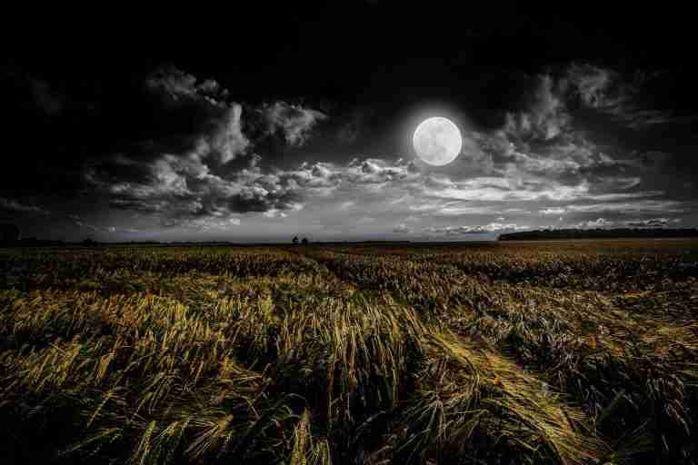 green grassland during night time