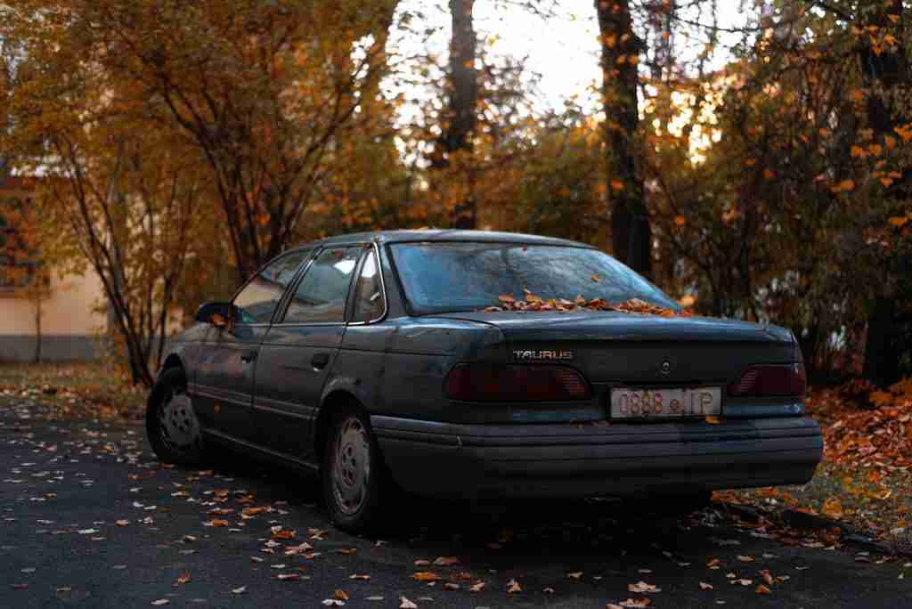 22 Fun Facts About Taurus: Traits That'll Shock You 2 Ford Taurus parked in autumn, showcasing fun facts about Taurus.