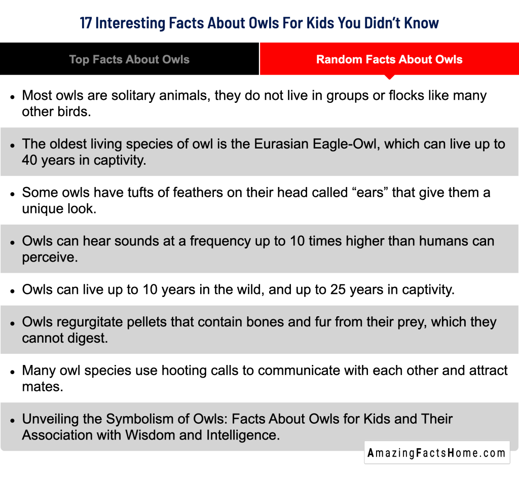 17 Interesting Facts About Owls For Kids You Didn’t Know - Random Facts About Owls