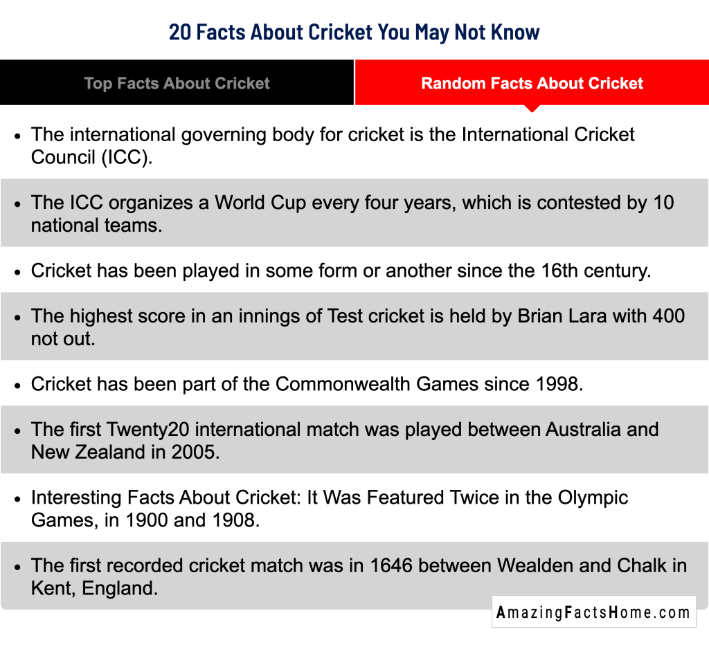 20 Facts About Cricket You May Not Know - Random Facts About Cricket