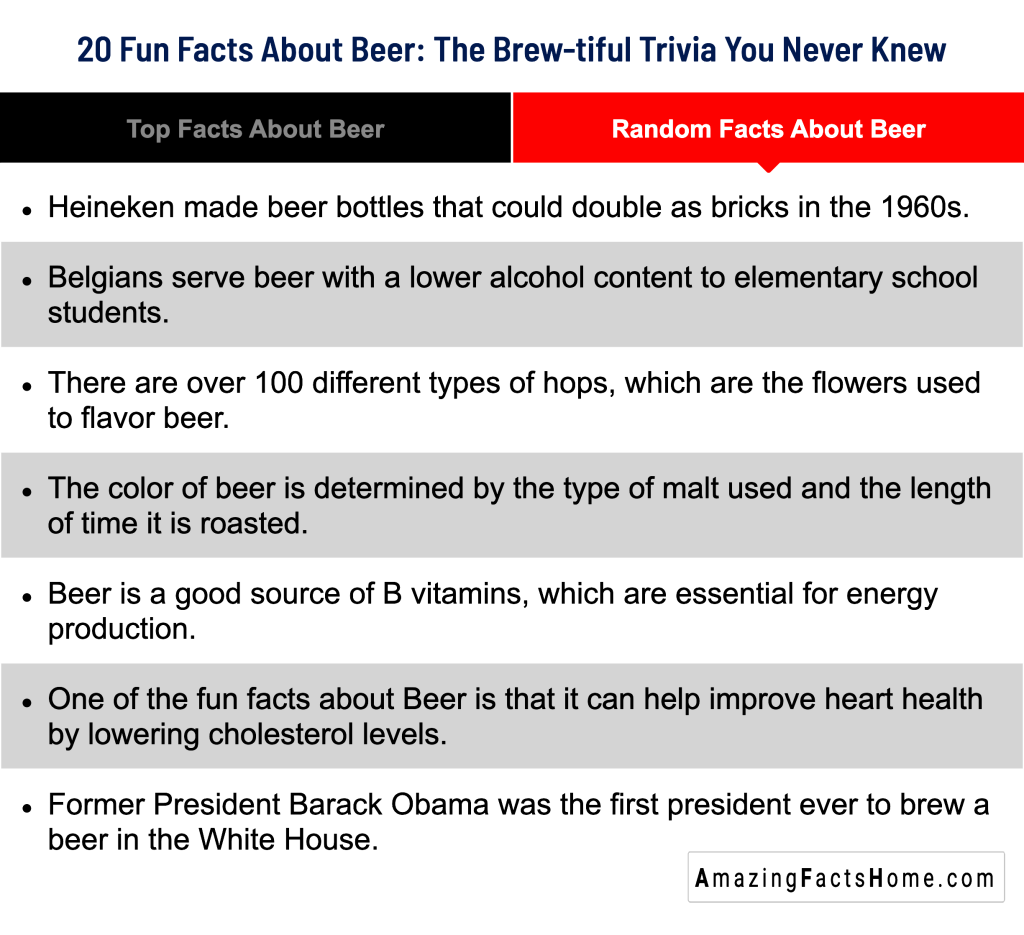 20 Fun Facts About Beer: The Brew-tiful Trivia You Never Knew - Random Facts About Beer