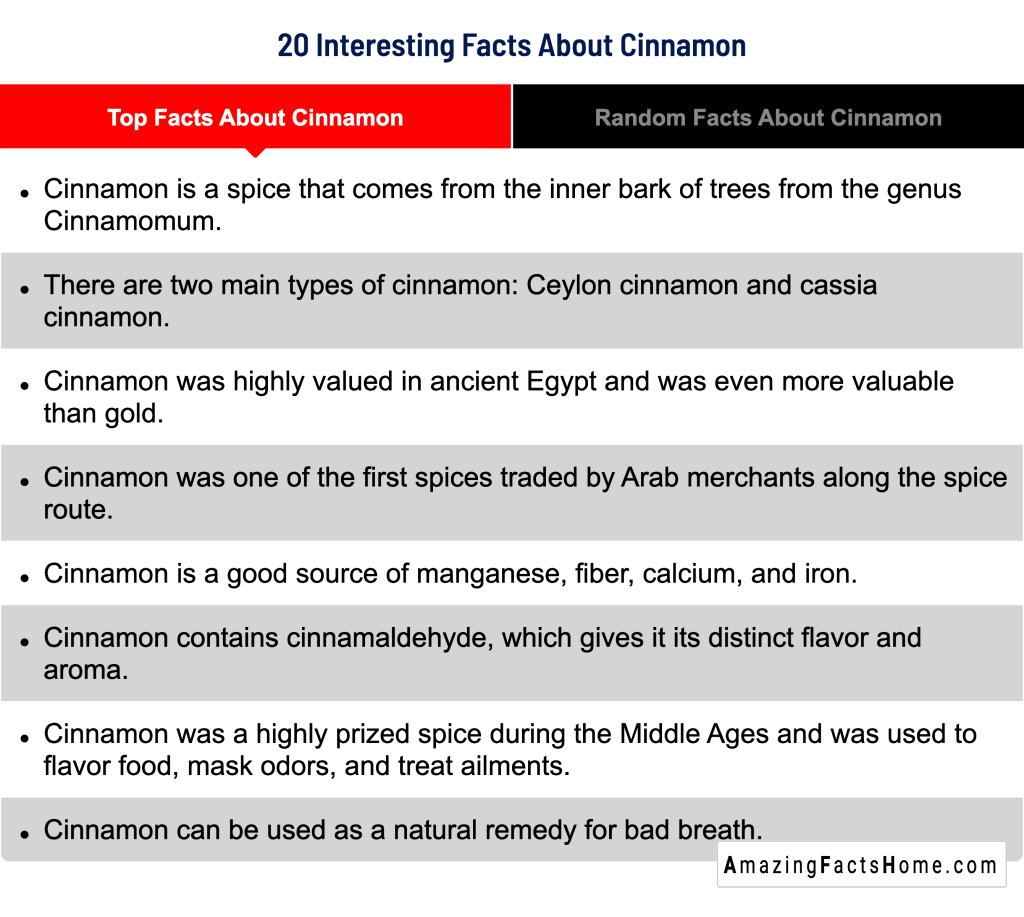 20 Interesting Facts About Cinnamon - Top Facts About Cinnamon