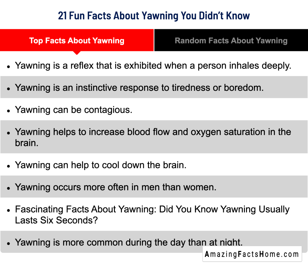 21 Fun Facts About Yawning You Didn’t Know - Top Facts About Yawning