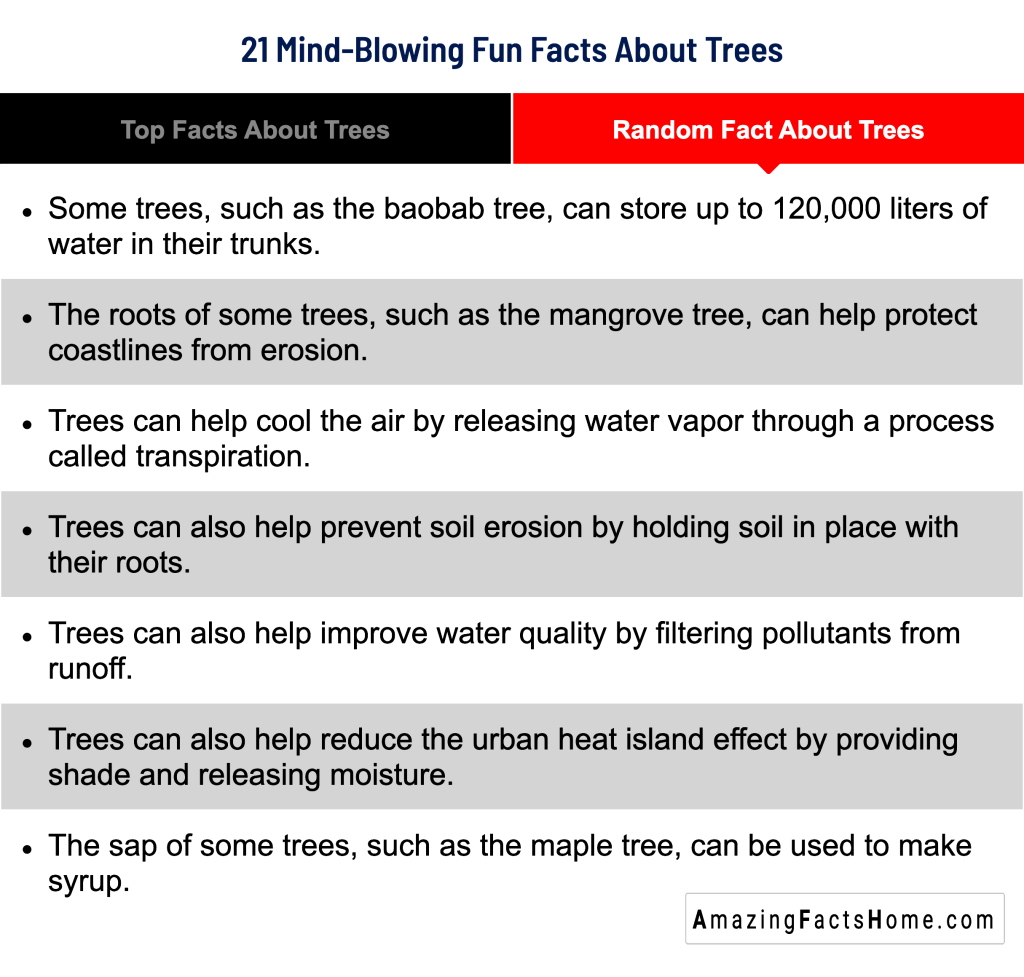 21 Mind-Blowing Fun Facts About Trees - Random Fact About Trees