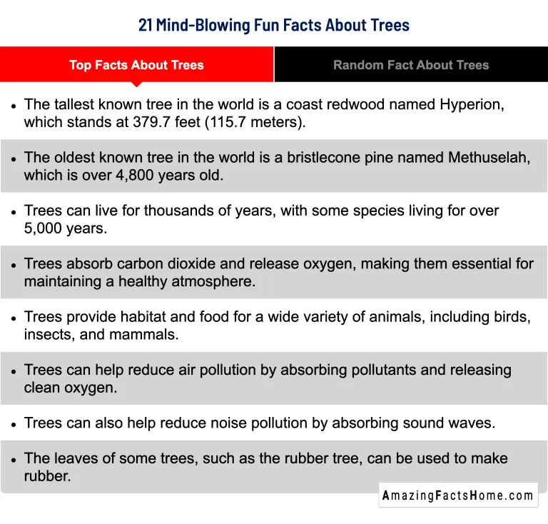 21 Mind-Blowing Fun Facts About Trees - Top Facts About Trees