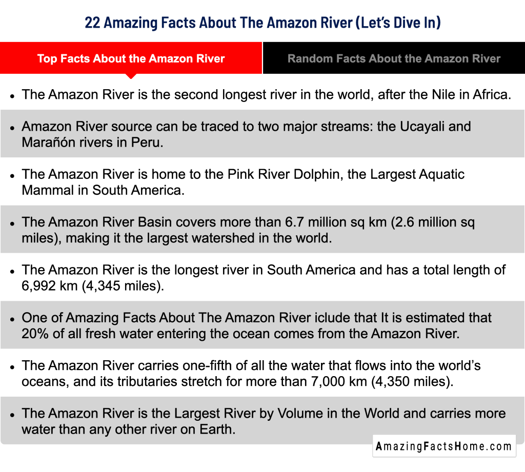 22 Amazing Facts About The Amazon River (Let’s Dive In) - Top Facts About the Amazon River