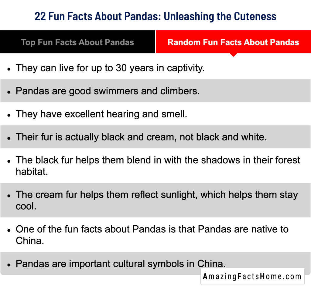 22 Fun Facts About Pandas: Unleashing the Cuteness - Random Fun Facts About Pandas