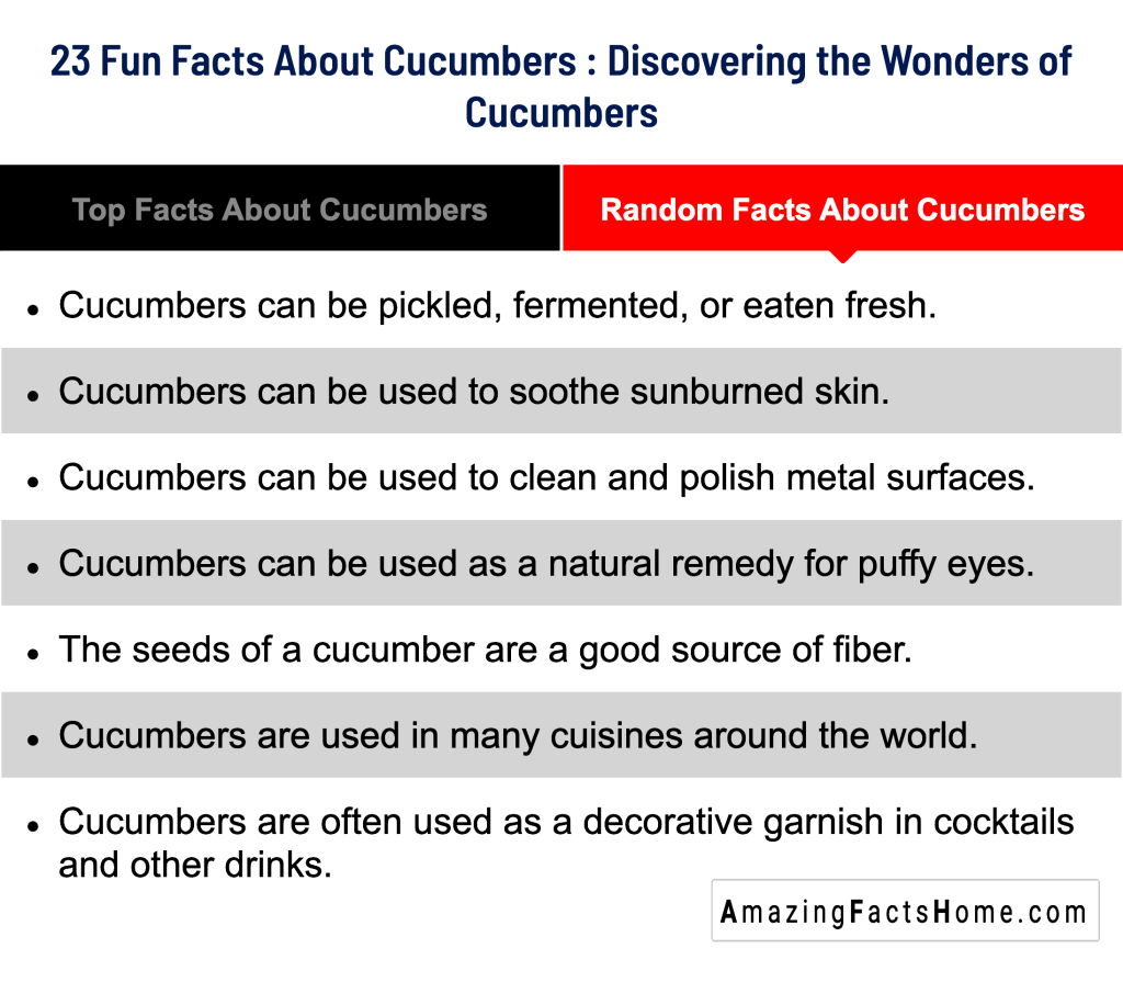23 Fun Facts About Cucumbers : Discovering the Wonders of Cucumbers - Random Facts About Cucumbers