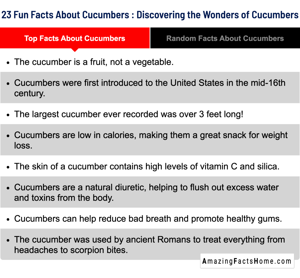 23 Fun Facts About Cucumbers : Discovering the Wonders of Cucumbers - Top Facts About Cucumbers