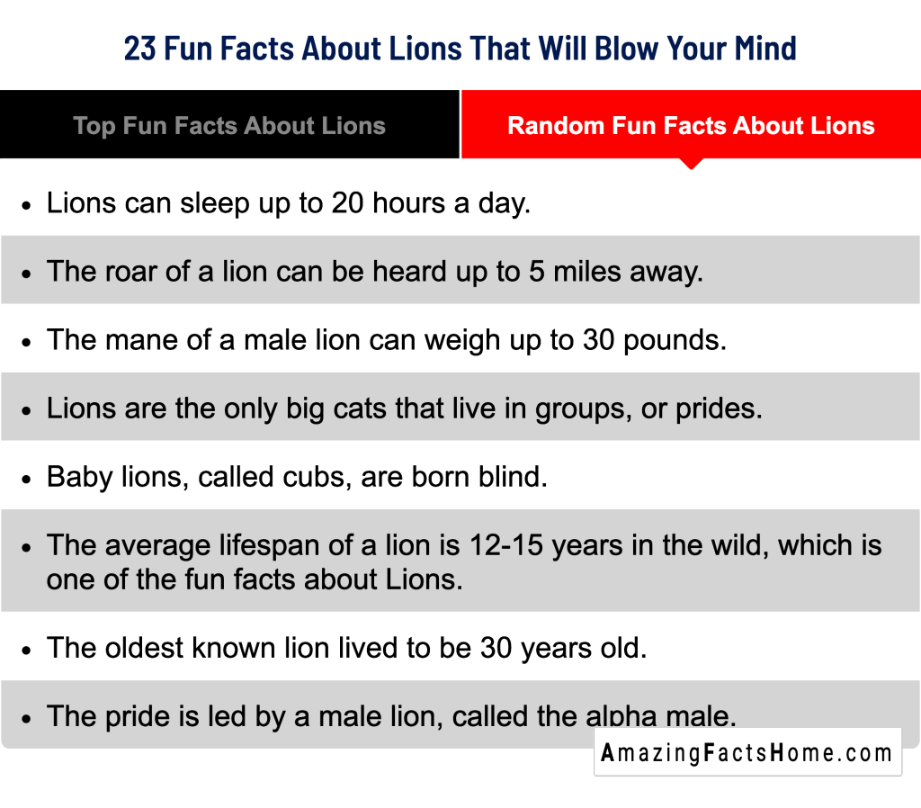 23 Fun Facts About Lions That Will Blow Your Mind - Random Fun Facts About Lions