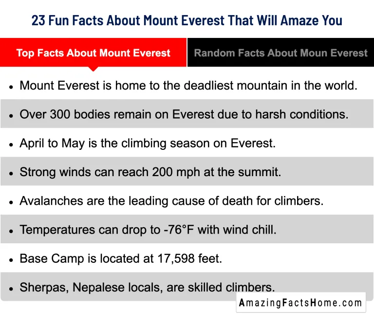 23 Fun Facts About Mount Everest That Will Amaze You - Top Facts About Mount Everest