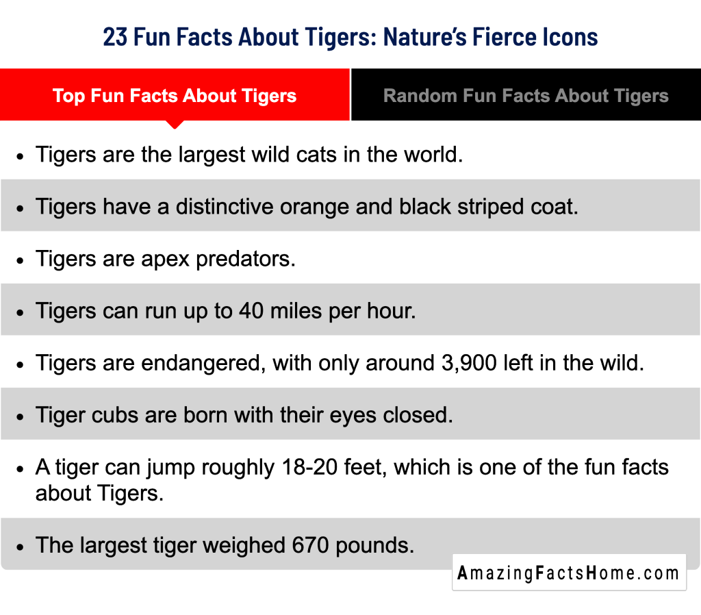 23 Fun Facts About Tigers: Nature’s Fierce Icons - Top Fun Facts About Tigers