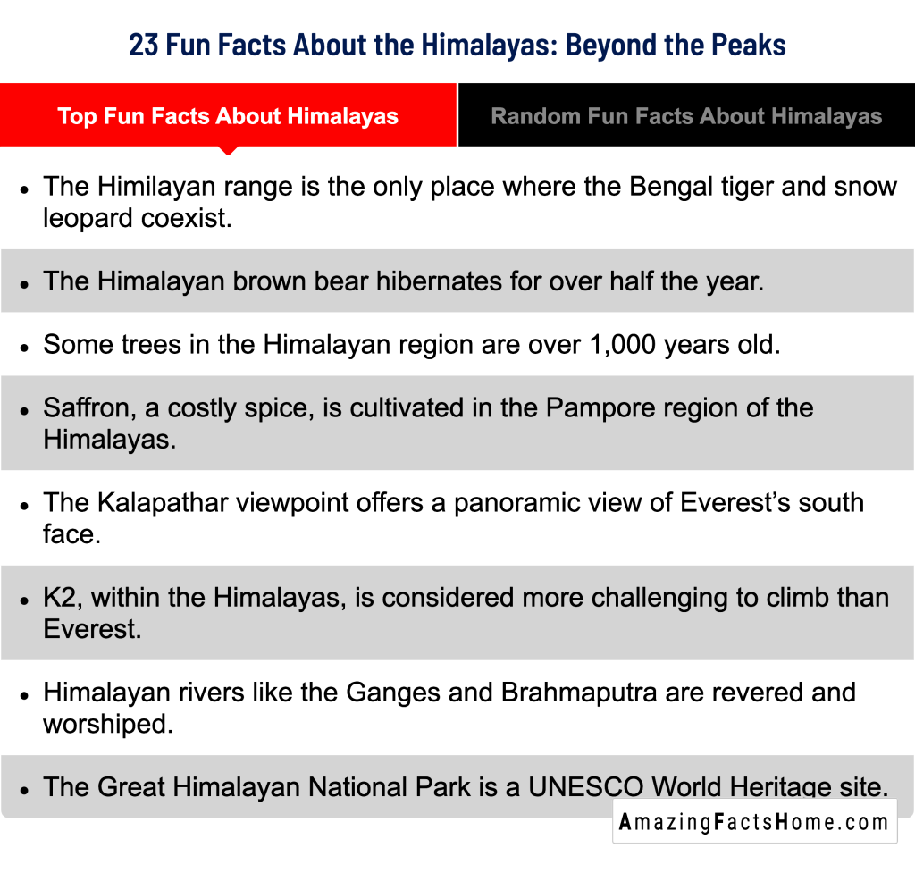 23 Fun Facts About the Himalayas: Beyond the Peaks - Top Fun Facts About Himalayas