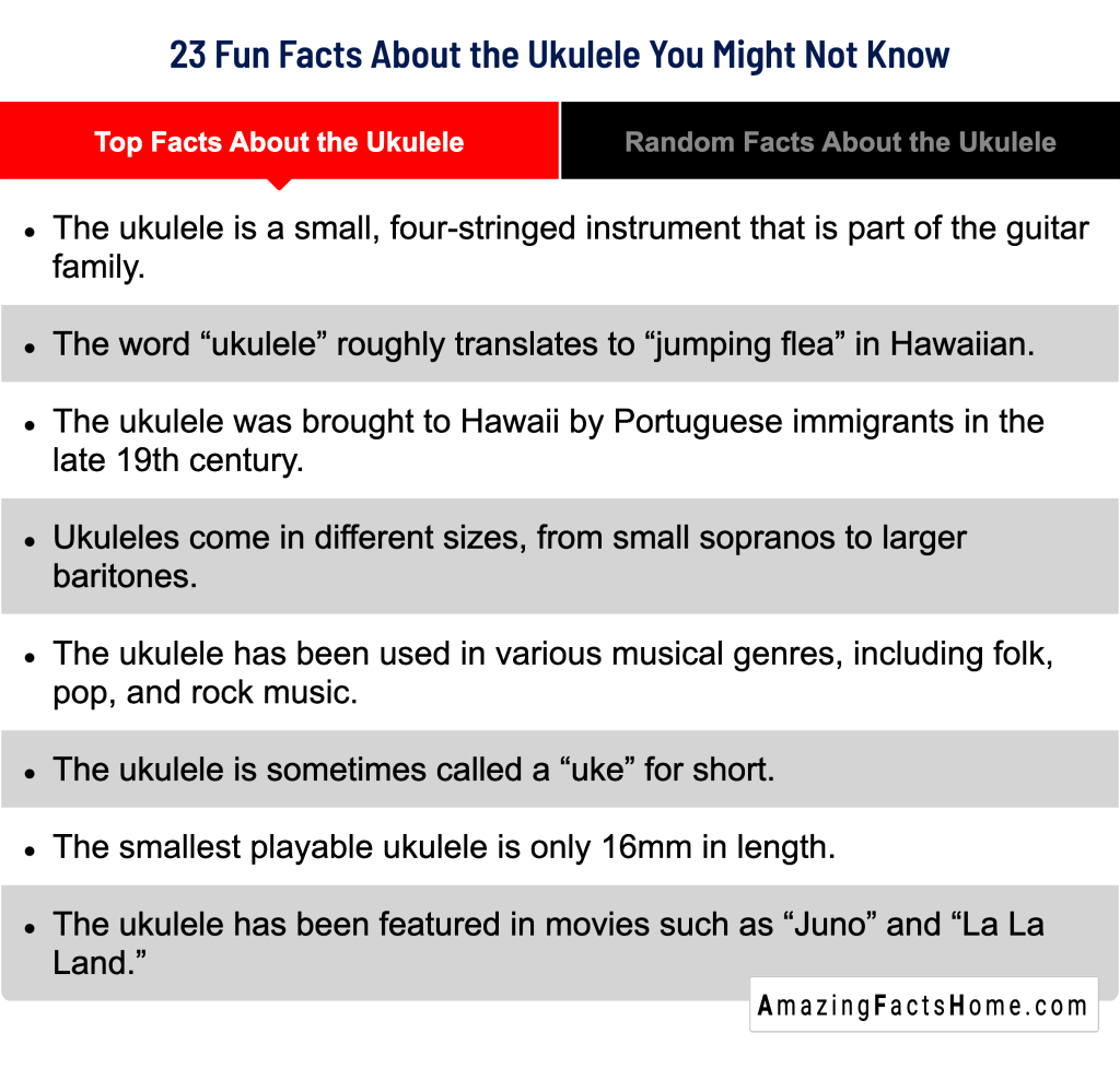 23 Fun Facts About the Ukulele You Might Not Know - Top Facts About the Ukulele