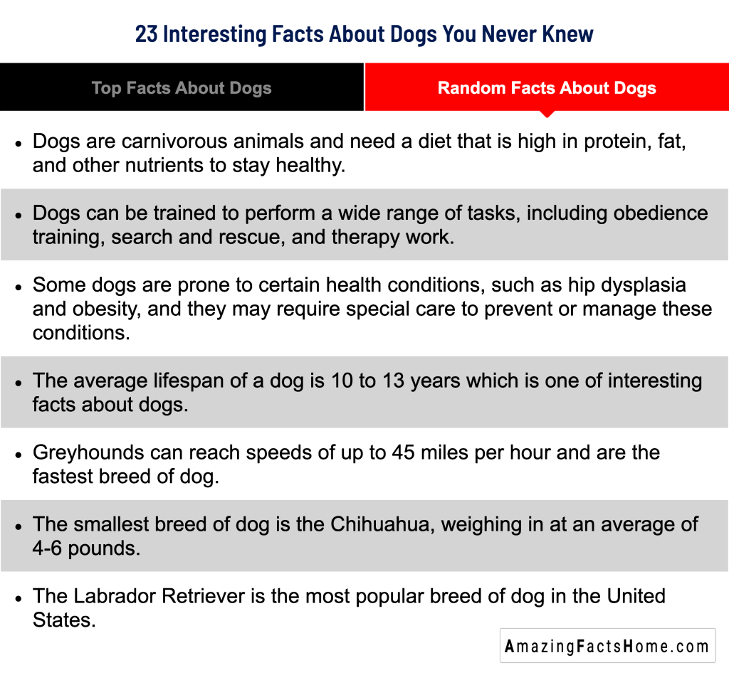 23 Interesting Facts About Dogs You Never Knew - Random Facts About Dogs