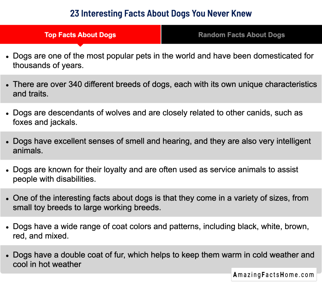 23 Interesting Facts About Dogs You Never Knew - Top Facts About Dogs