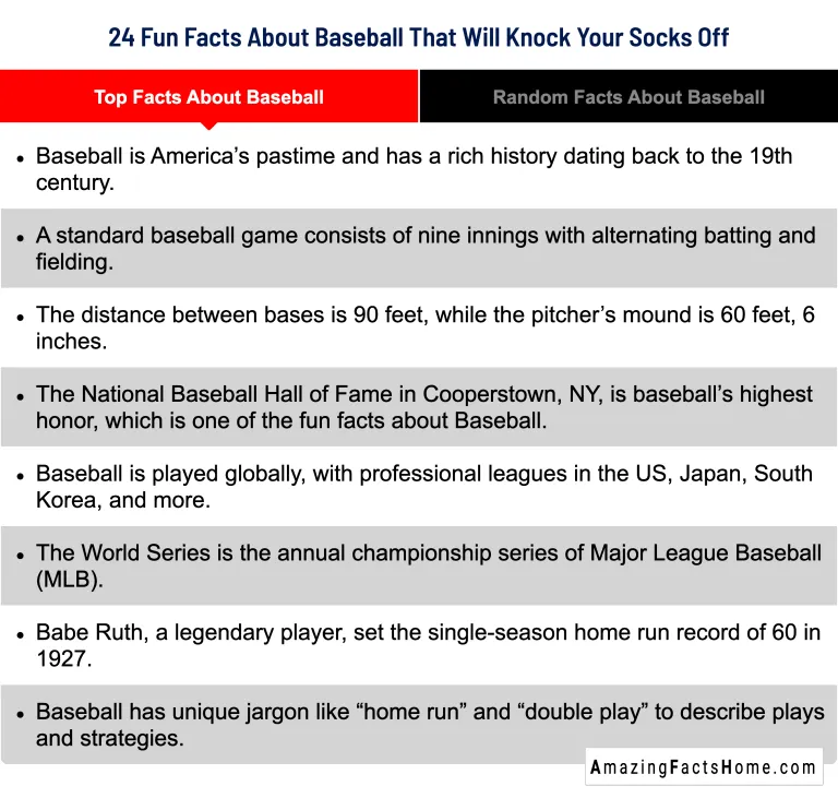 24 Fun Facts About Baseball That Will Knock Your Socks Off - Top Facts About Baseball