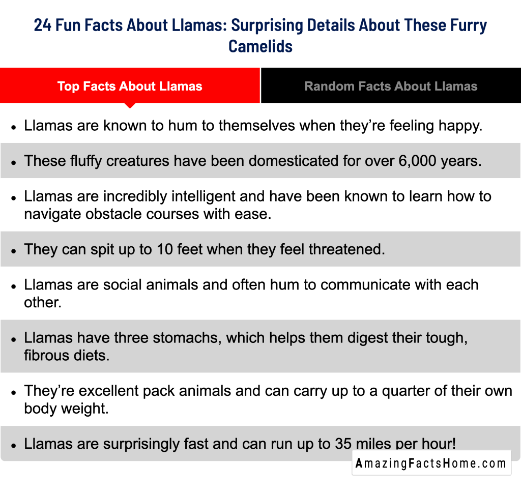 24 Fun Facts About Llamas: Surprising Details About These Furry Camelids - Top Facts About Llamas