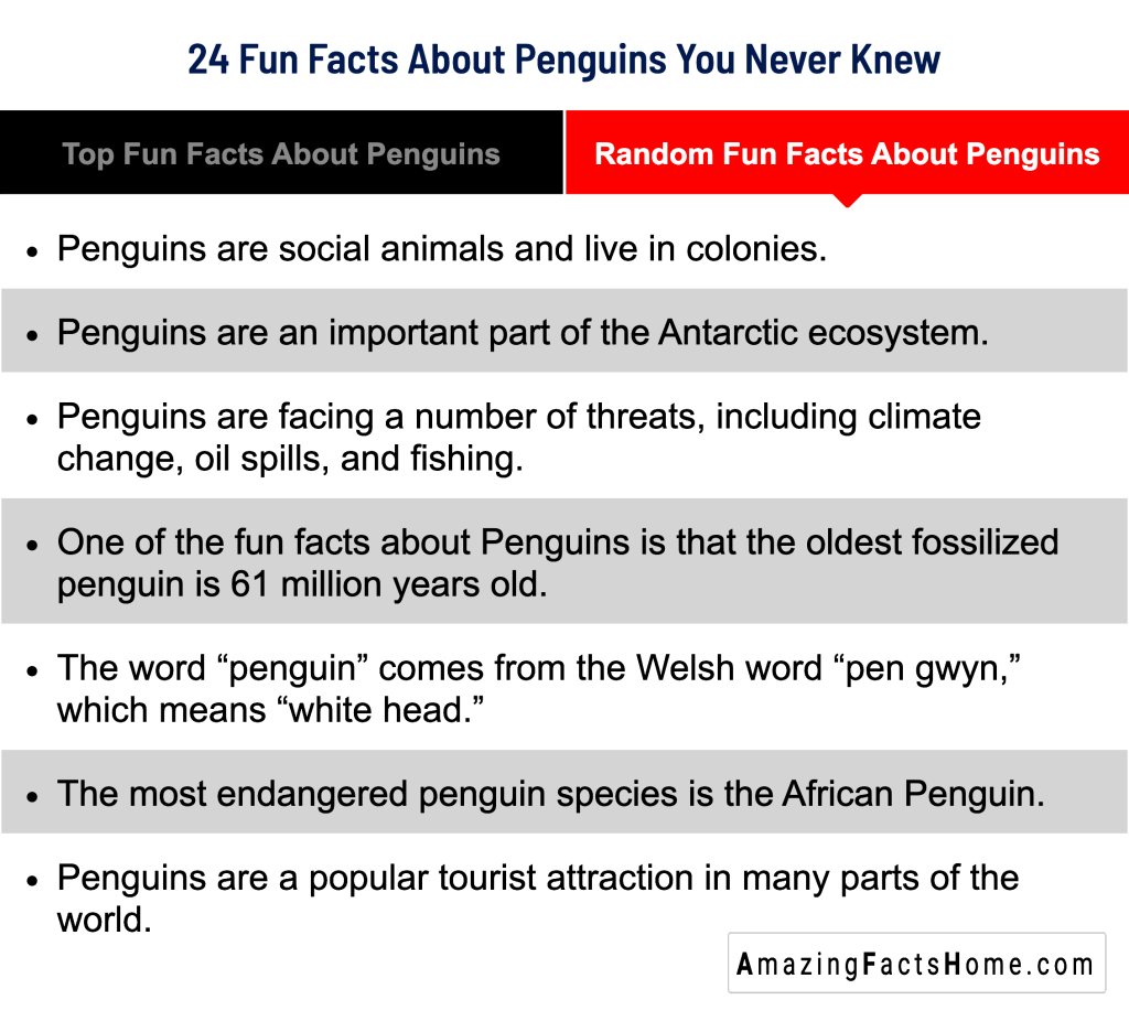 24 Fun Facts About Penguins You Never Knew - Random Fun Facts About Penguins