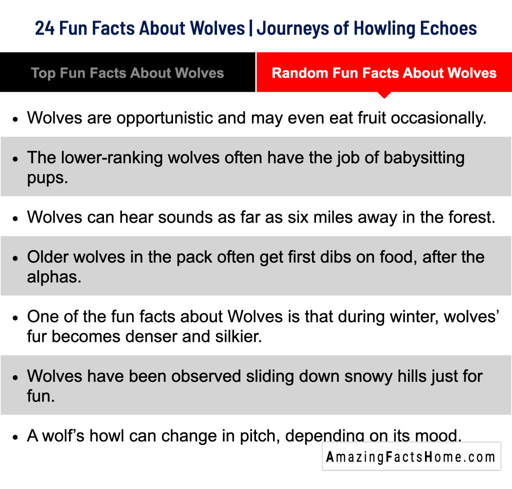 24 Fun Facts About Wolves | Journeys of Howling Echoes - Random Fun Facts About Wolves