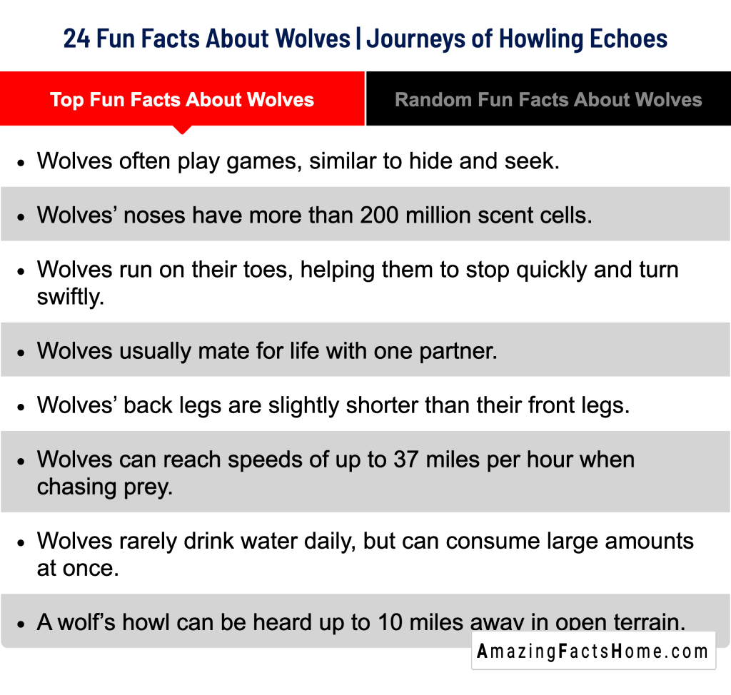 24 Fun Facts About Wolves | Journeys of Howling Echoes - Top Fun Facts About Wolves