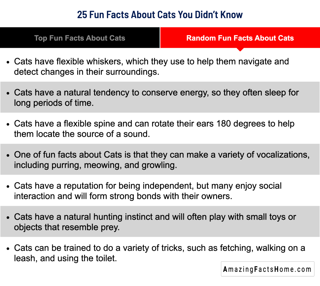 25 Fun Facts About Cats You Didn’t Know - Random Fun Facts About Cats