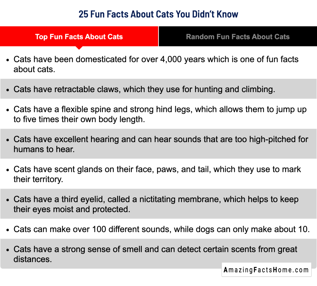 25 Fun Facts About Cats You Didn’t Know - Top Fun Facts About Cats