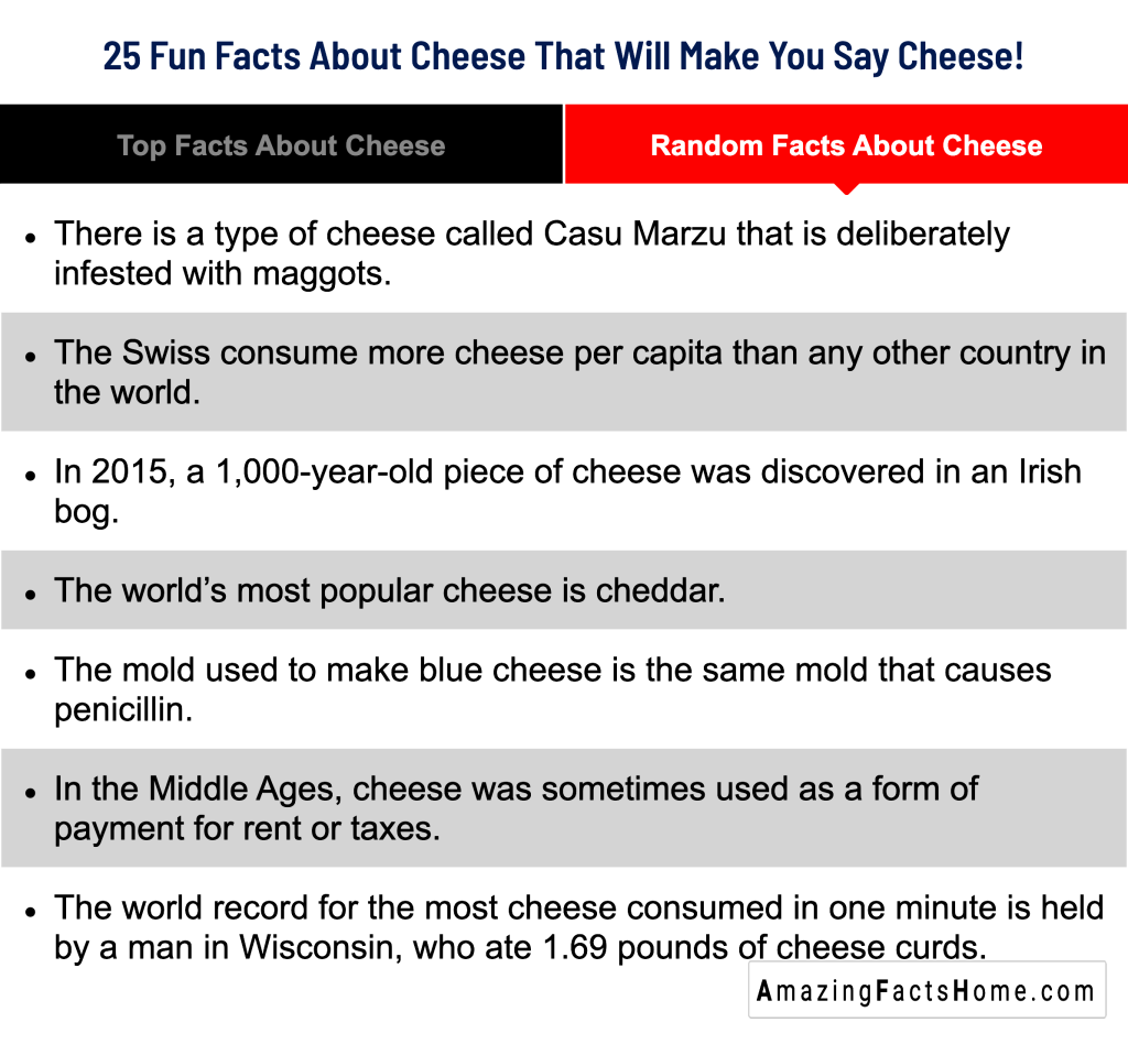 25 Fun Facts About Cheese That Will Make You Say Cheese! - Random Facts About Cheese
