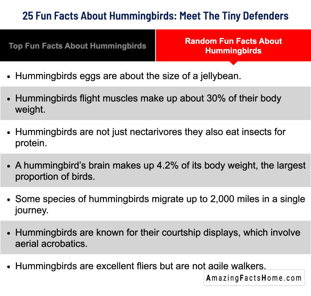 25 Fun Facts About Hummingbirds: Meet The Tiny Defenders - Random Fun Facts About Hummingbirds