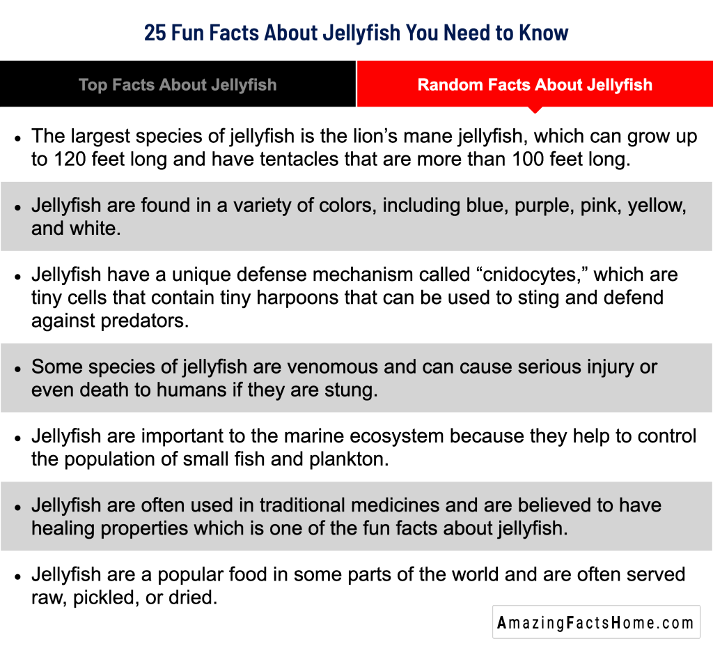 25 Fun Facts About Jellyfish You Need to Know - Random Facts About Jellyfish