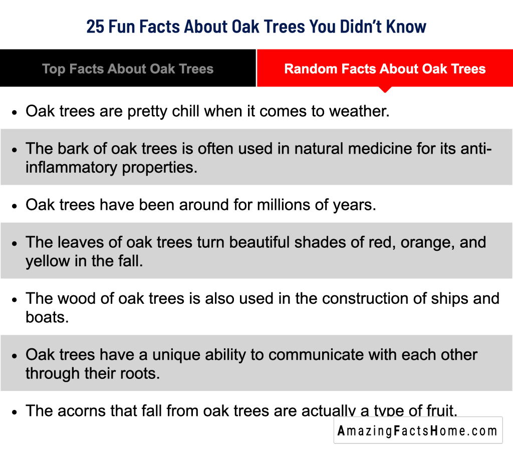 25 Fun Facts About Oak Trees You Didn’t Know - Random Facts About Oak Trees