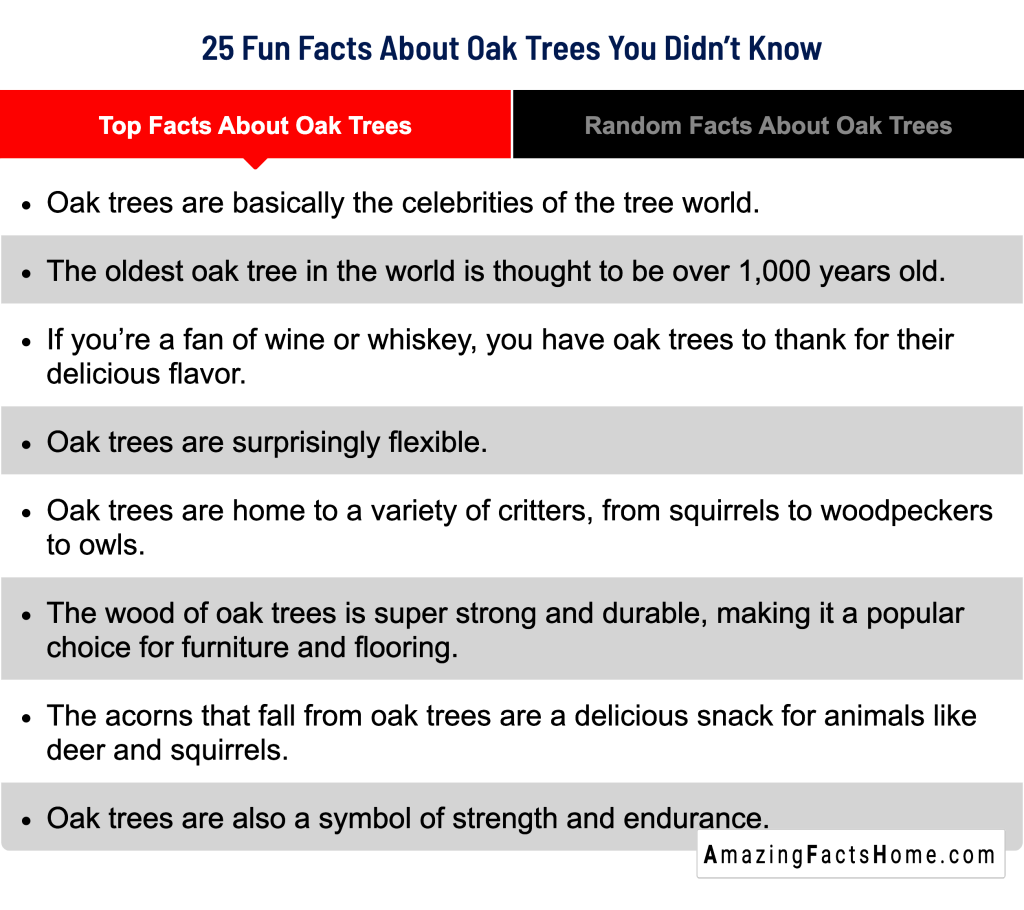 25 Fun Facts About Oak Trees You Didn’t Know - Top Facts About Oak Trees