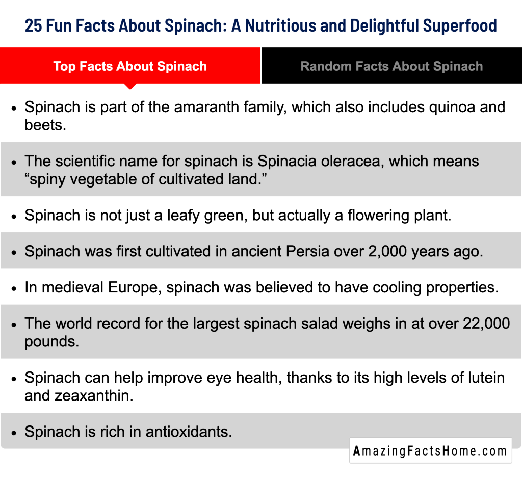 25 Fun Facts About Spinach: A Nutritious and Delightful Superfood - Top Facts About Spinach